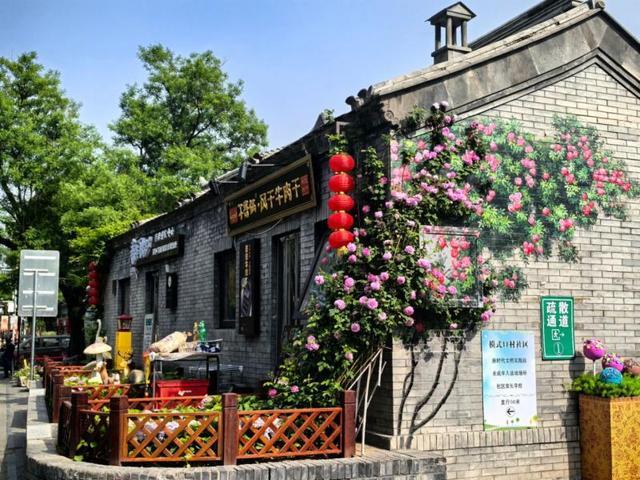 “花漾”漫染驼铃古道 北京石景山模式口打造十大花景